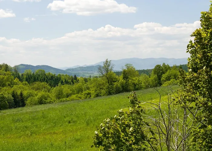 Vakantiehuis Andrzejowka Kocon